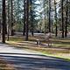 Fort Spokane Campsites with trees in the background