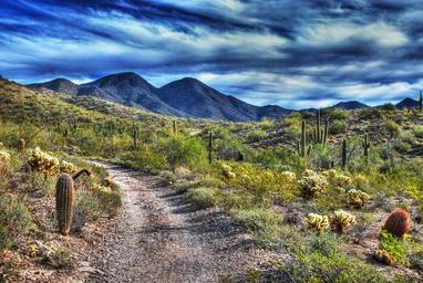 North Ranch RV Park