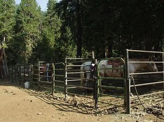 001, Loop: AREA CARTER MEADOWS HORSE GROUP
