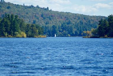 Androscoggin Lake Campground