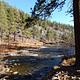 Goose Meadow Campground