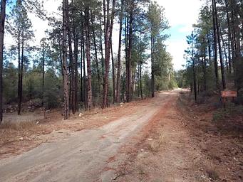Turney Gulch Campground Entrance