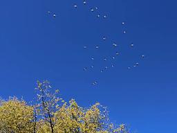 Cottonwood Recreation Area