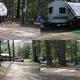Panoramic collage showing multiple campsite/RV setups and wooded roads — useful overview of typical site arrangements and campground atmosphere (from the Pictures page).