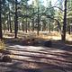 Kaibab Lake Standard Campsite