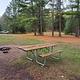 Leg Lake Campsite 1 picnic table and fire ring
