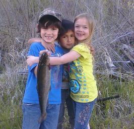 Campground image 4
