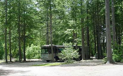 RV parked among tall trees showing wooded RV sites and campsite spacing — from the site’s Amenities page, demonstrates site character.