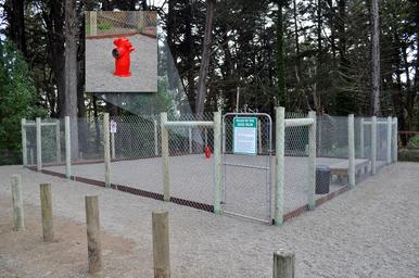 Dog Run