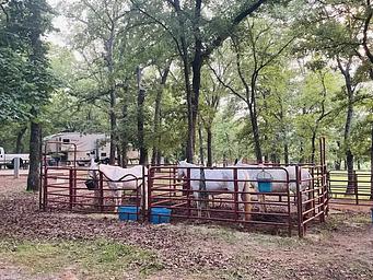 A photo of facility PLATTER FLATS with Shade
