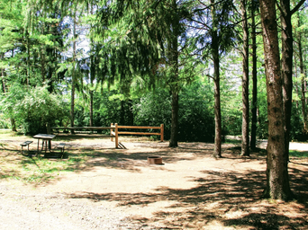 Grassy tent site among trees with picnic table and fire pit — represents the park’s tent/no-hookup campsites and tree-shaded camping areas shown on the site.