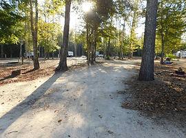 Carrollwoods RV Park at Grapefull Sisters Vineyard
