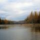 A photo of the outlet of Seeley Lake and the Clearwater River. The Western larch trees display their golden needles in Autumn. 