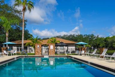 Wide-angle pool view showing pool, fenced deck, palm trees and resort structures; file is used as the Blue Parrot RV Resort social image on the property page, indicating it depicts the resort.