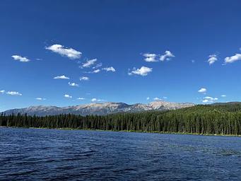A photo of Lake Alva on a sunny day. The water and skies are bright blue, and trees and the swan range can be seen in the background.