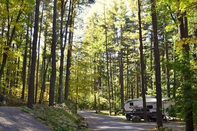 Roadway through tall trees with an RV visible at a pull-through site — illustrates campground roads, tree cover and RV accommodation style on the grounds.