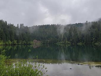 Toketee Lake with steam