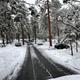 Winter and spring camping conditions.