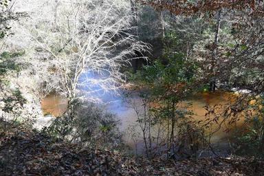 Campground image 4