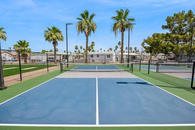 A pickleball court with blue and green surfaces, surrounded by palm trees and a chain-link fence under a clear blue sky in apache junction az