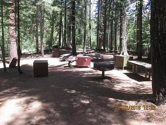 Middle Meadows