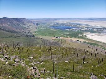 Landscape View from Fremont Point Cabin 1