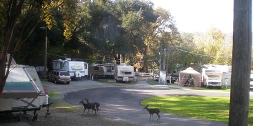 Oak Dell RV Park