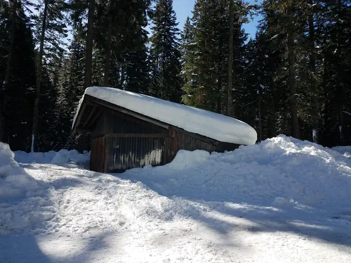 Atkisson Group Camp