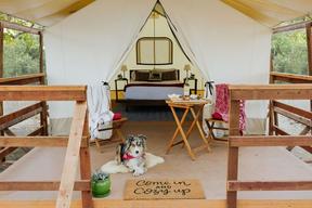 Wildhaven Sonoma