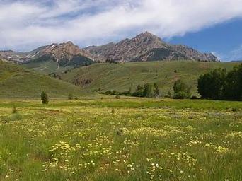 EASLEY CAMPGROUND