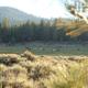 Campspot slideshow image 1
