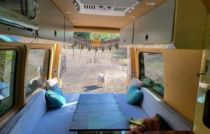 Luxury Sprinter Adventure Van (Whale Shark)