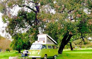 "HONU LI'U" 1977 Volkswagen Classic Westfalia