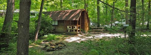Shaded Cabin with Fire ring
