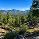 View looking north from Santa Clara Divide Road en route to Bandido