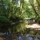 Whittaker Creek