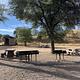 Campground with tables, grills and a pit toilet. Sparse trees and a dry, grassy ecosystem
