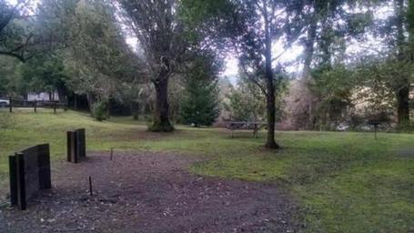 Tyee Campground - Umpqua River
