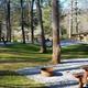 Campspot slideshow image 3