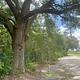 Cajun Acres RV Park