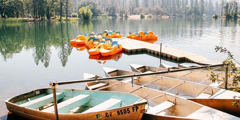 Lake Francis Resort
