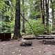 Picnic table, bear box, and fire grate with trees in the background. 