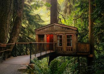 Treehouse Point