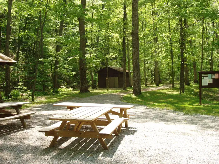 Sherando Lake Group Picnic Shelter
