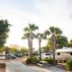 RV park with palm trees, picnic table, and parked trailers under a bright sky. Buildings are visible in the distant background.