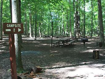 Campsite 2