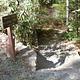 Nature Trail 