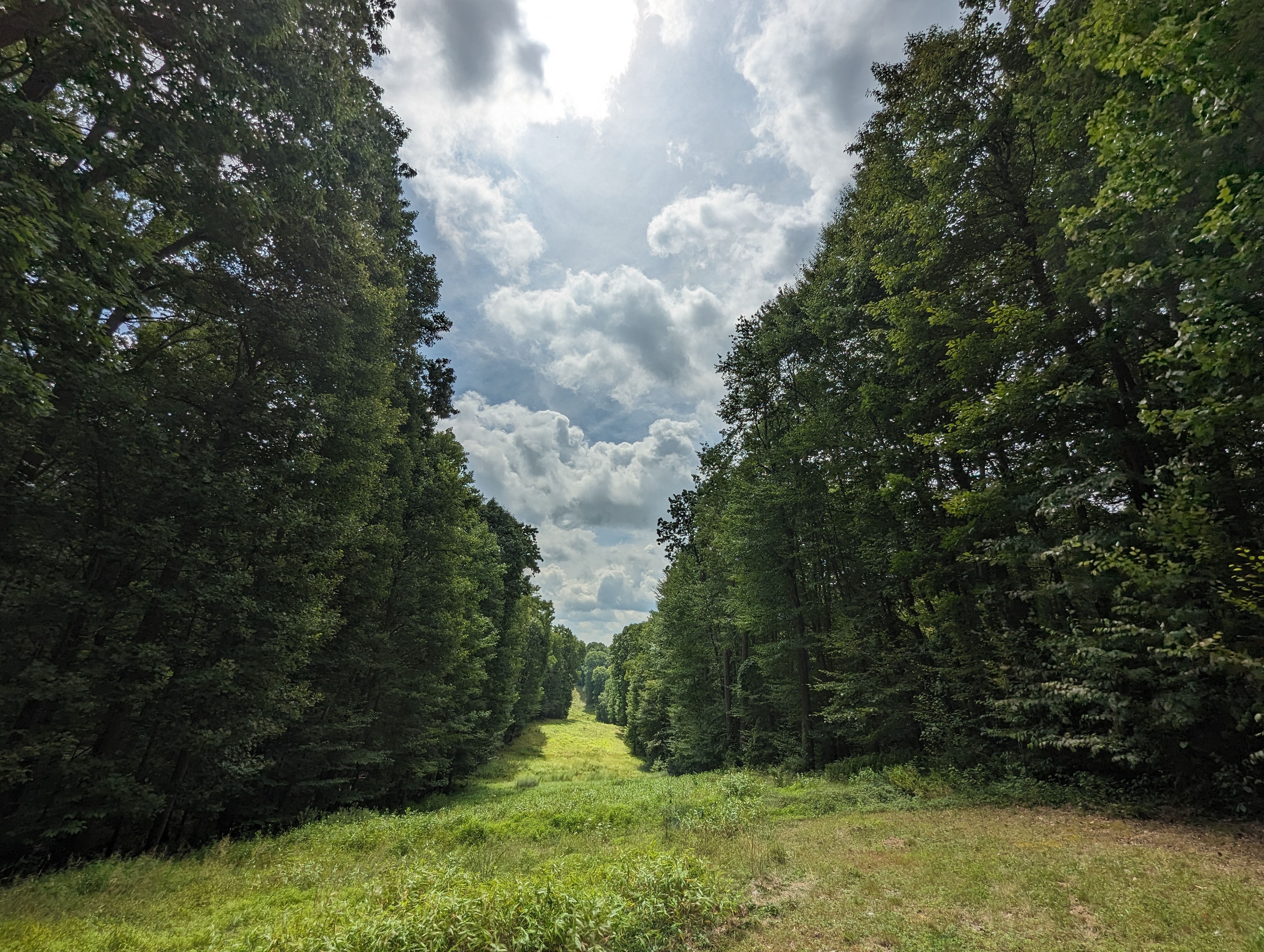 Benner's Meadow Run