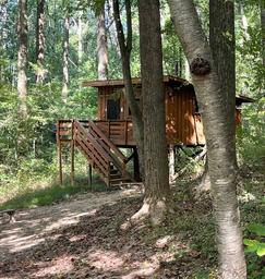 Maple Tree Camp