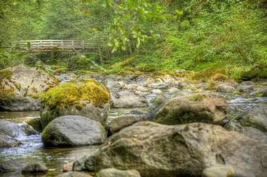 North Fork Beaver Group Camp